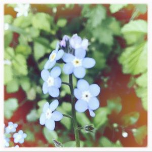 Meet your Posher, Erika